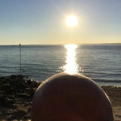 Baldscape