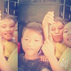 Wdg-aman Putra Diningrat