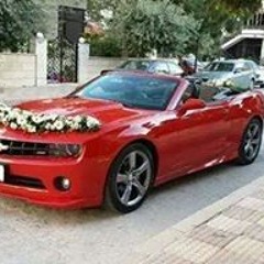 حازم عبدالهادي