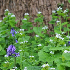 PrettyPinkPrincess🌷🌸🦄💘🌷🌸🦄💘🌷🌸🦄💘