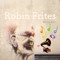 Robin Frites