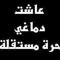 Abeer Elsayed