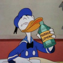 Kitchen Duck