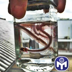 (*ﾉ･ω･)ﾉ⌒