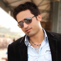 Shahid Haidree