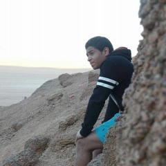 Waleed Amr