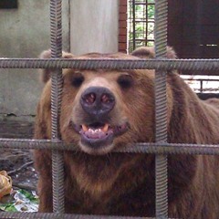 Russian Hip-Hop Machine