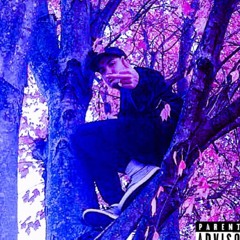 Yung God Type Beat - Tip Toe Thru The Tulips Sample