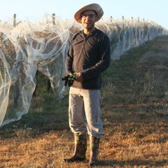 Notestrom/Metron - mixes