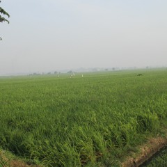 Takdir - Tasya Rosmala Dangdut Koplo Terbaru 2016