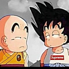 Sus