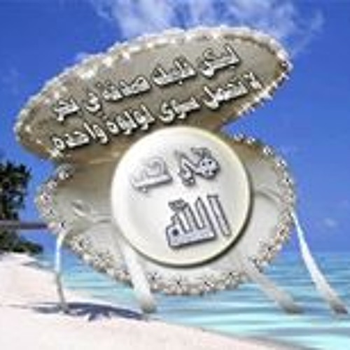 Mohamed Abdall’s avatar