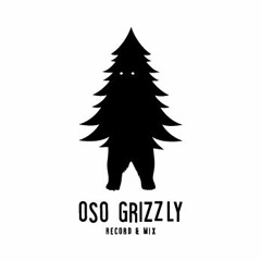 Oso Grizzly Estudio