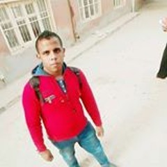 Mohamed Amr