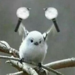 They call me BAEPSAE