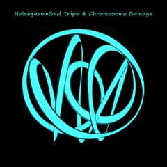 noisegasm