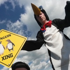 Mr. Penguin