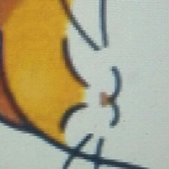 pikapoe 25