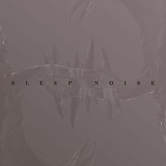 Sleep Noise