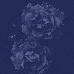 dmara