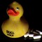 DucksAndPills