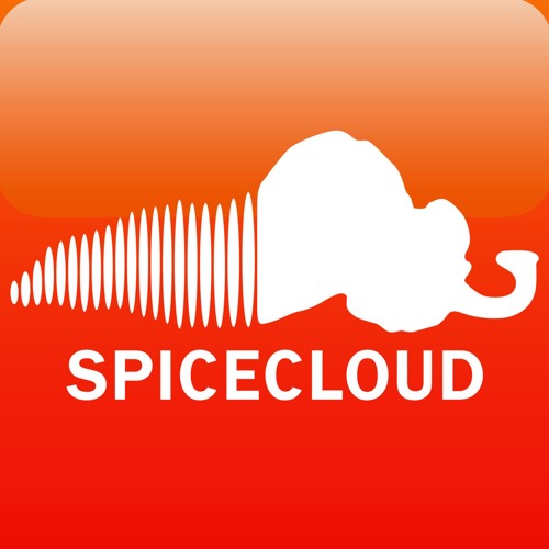 Slice Of Spice’s avatar