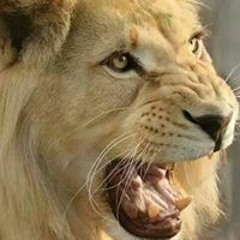 يتوب علينا ربنا