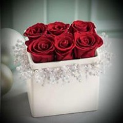 Frasha Masry
