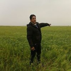 احمد حمدي