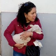 Brenda Arnao Huamaní