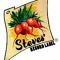 Steve's Record Label