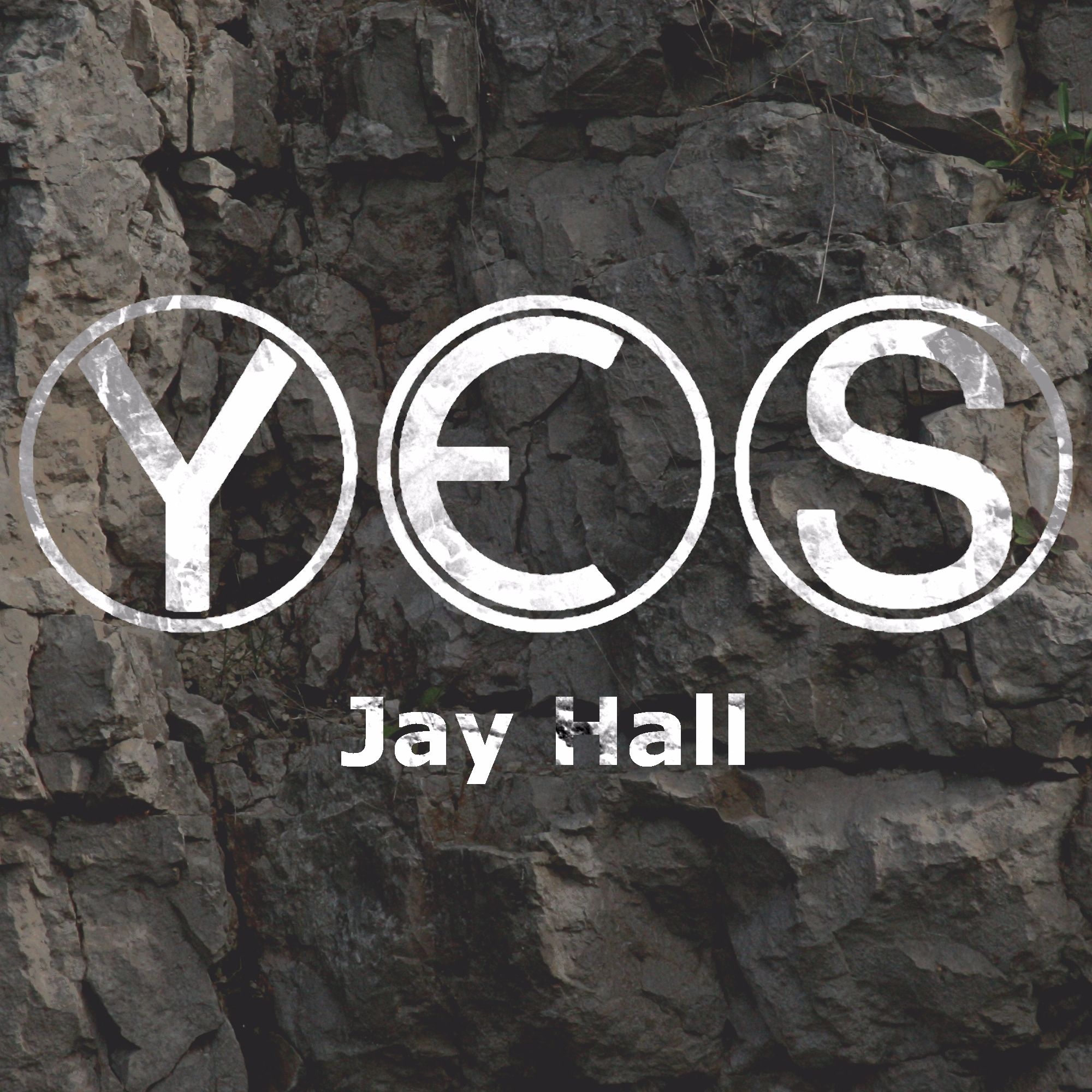 YES - the Young Earth Podcast
