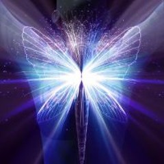 Nova Auralis / DnBEmotions