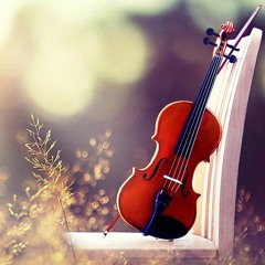 ViolinRookie