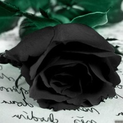 User 808101123