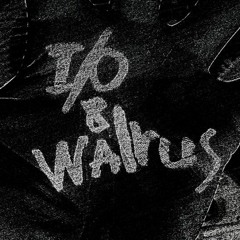 I/O & Walrus