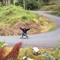 Iekel Quiros