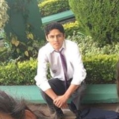 Nicolas Mafla Viscarra