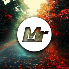 Mr L