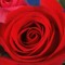 wissamwissam573