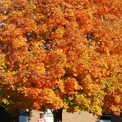 I know I'm a savage busting 3s like I'm mavericks