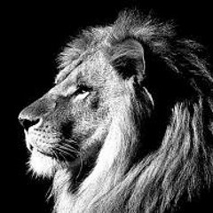 DJ.KING
