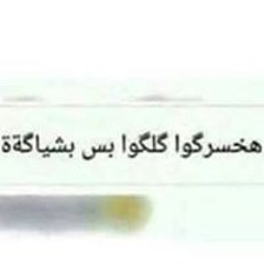 Hamo Ragab
