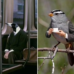 Kevin Mothman Crane