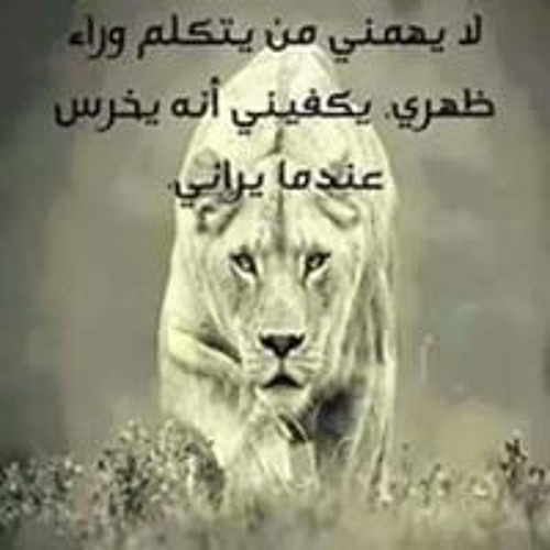 مهدى جمال’s avatar