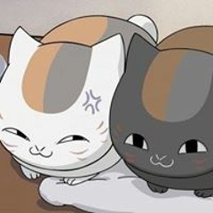 Esteban Gato Cat Black