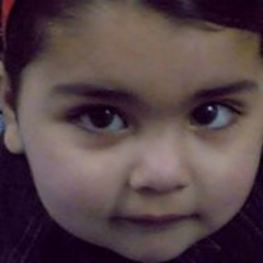 Noha Kamal