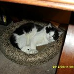 Joyce Brunet-O'Sullivan