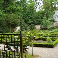 Joaquin Laguia Cuartero