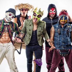 Los Chinchillos Del Caribe